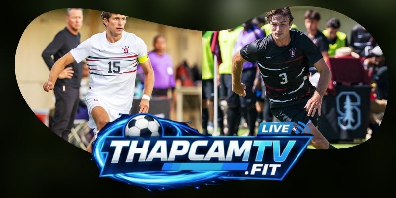 Các kịch bản WC2026 làm kèo total goals đổi giá