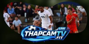 Kèo Total Goals WC2026: Đọc Tổng Bàn Theo Kịch Bản