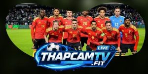Soi Kèo New Zealand Vs Bỉ 10h00 27/06